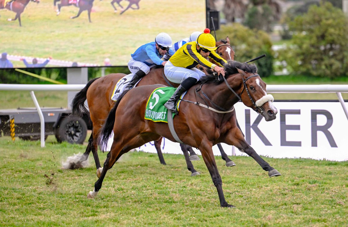 THE REAL PRINCE - A TRUE BLUE BLOOD

Read the full article:
caperacingsales.co.za/2025/07/08/the…

#HDJ2025 #jointhepassion