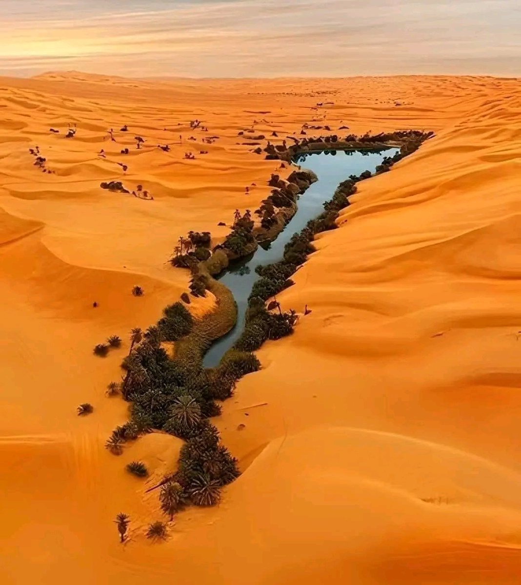 The Earth as you’ve never seen it (probably) before. 
A thread 🧵 🧵 
1. This incredible Oasis in SAHARA DESERT called Ubari.