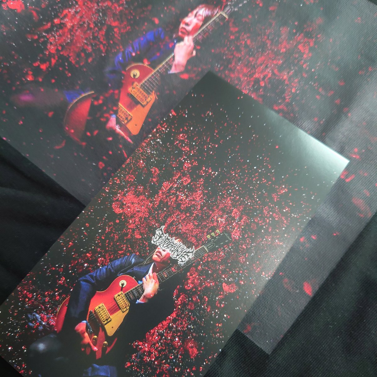lalaclash_itata's tweet photo. 今日届いた短冊は平沢グラインド唯「UMA」Tシャツセット!
今年の短冊ラインナップ見てたらしれっと入ってて二度見して迷わず購入しました
#HELLOFROMTHEGUTTER
#短冊CDの日2025
#ネムレス
#平沢グラインド唯 https://t.co/dSVA3gZ6hB