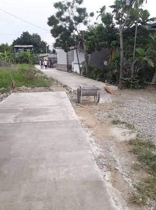 क्या सच में इतनी बड़ी गलती हो सकती है? 😂