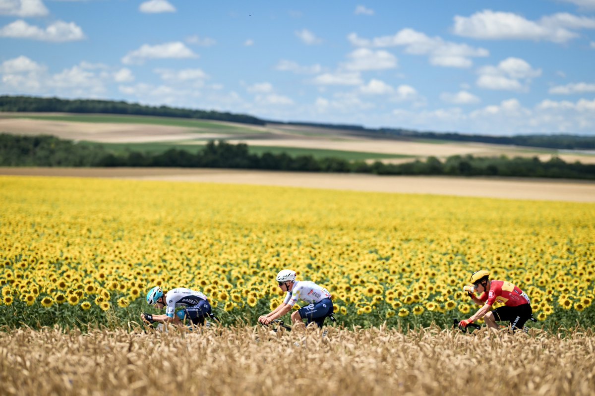 Tour de Franceβ’ (@letour) on Twitter photo π¦βοΈπ¦π¦π¦π¦π¦βοΈβοΈπ¦π¦βοΈπ¦π¦π¦π¦
π¦π¦π¦βοΈπ¦π¦βοΈπ¦π¦π¦βοΈπ¦π¦π¦π¦π¦
π¦π¦π¦π¦π¦π¦π¦π¦π¦π¦π¦π¦π¦π¦π¦π¦
π³π³π³πΎβ°οΈπ³π³π³π³π³πΎπ³πΎπ³πΎπ³
π³π³β°οΈπ³π³π³π³π³π³πΎπ³πΎπΎπΎπ³π³
π»π»π»π»π»π»π»π»π»π»π»π»π»π»π»π»
π»π»π»π»π»π»π»π»π»π»π»π»π»π»π»π»
π»π»π»π»π»π»π»π»π»π»π»π»π»π»π»π»
π»π»π»π»π΄ββοΈπ»π΄ π¦βοΈπ¦π¦π¦π¦π¦βοΈβοΈπ¦π¦βοΈπ¦π¦π¦π¦
π¦π¦π¦βοΈπ¦π¦βοΈπ¦π¦π¦βοΈπ¦π¦π¦π¦π¦
π¦π¦π¦π¦π¦π¦π¦π¦π¦π¦π¦π¦π¦π¦π¦π¦
π³π³π³πΎβ°οΈπ³π³π³π³π³πΎπ³πΎπ³πΎπ³
π³π³β°οΈπ³π³π³π³π³π³πΎπ³πΎπΎπΎπ³π³
π»π»π»π»π»π»π»π»π»π»π»π»π»π»π»π»
π»π»π»π»π»π»π»π»π»π»π»π»π»π»π»π»
π»π»π»π»π»π»π»π»π»π»π»π»π»π»π»π»
π»π»π»π»π΄ββοΈπ»π΄