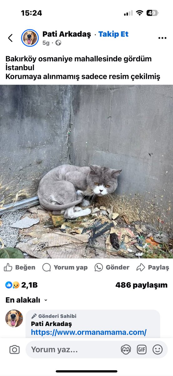 Böyle bi ilan gördüm ay oraya yakın biri var mıdır yazış çok korkmuş 🥺🥺PAYLAŞIR MISINIZ