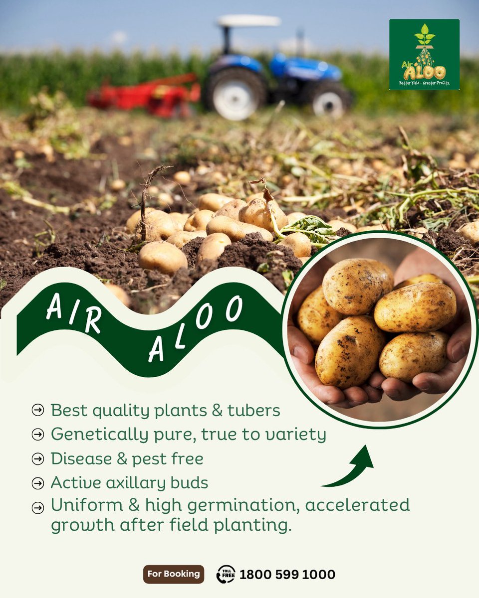 🥔💨 Jain Air Aloo – Grown in air at lab, made for your soil!

Say hello to next-gen potato farming with disease-free, uniform seed tubers grown without soil.
✅ Cleaner start
✅ Faster growth
✅ Better yield
✅ Bigger profits 💰

📞 Book now: 1800 599 1000

#JainAirAloo