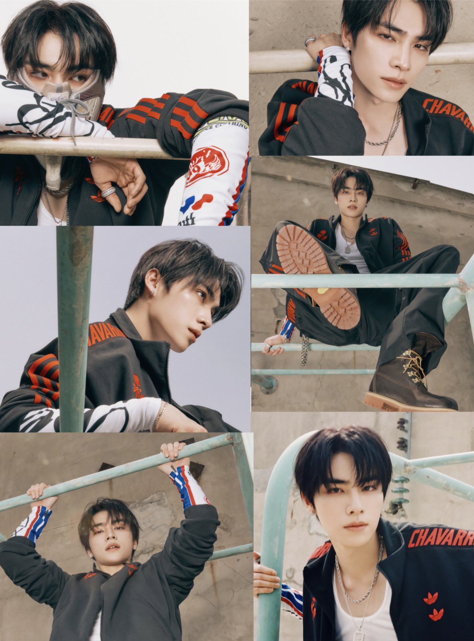 Xiaojun Feed 🐶🐾🩵 on X: 