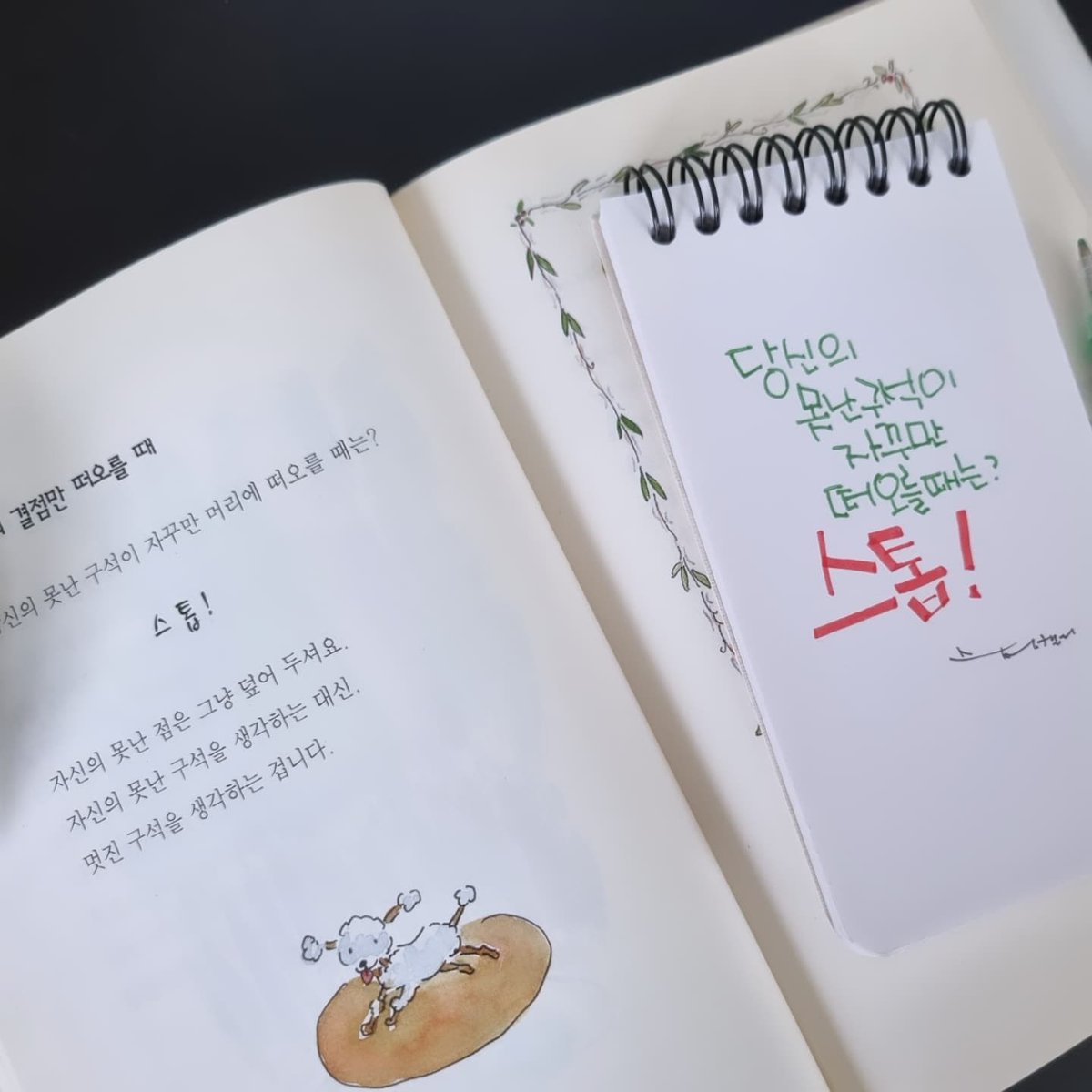 DNT빨간머리앤 tweet media