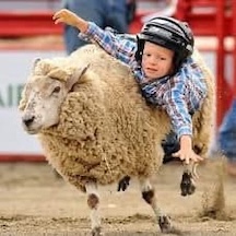 Tell the boss you’re taking some PTO, grab your favorite sheeple, and get ready to hit the road for an irresistible lineup of county fairs and carnivals in Kansas this summer! Click here and read all about them! wkreda.com/about/wkreda-n…!