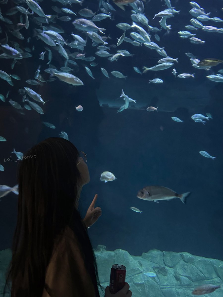 🐟