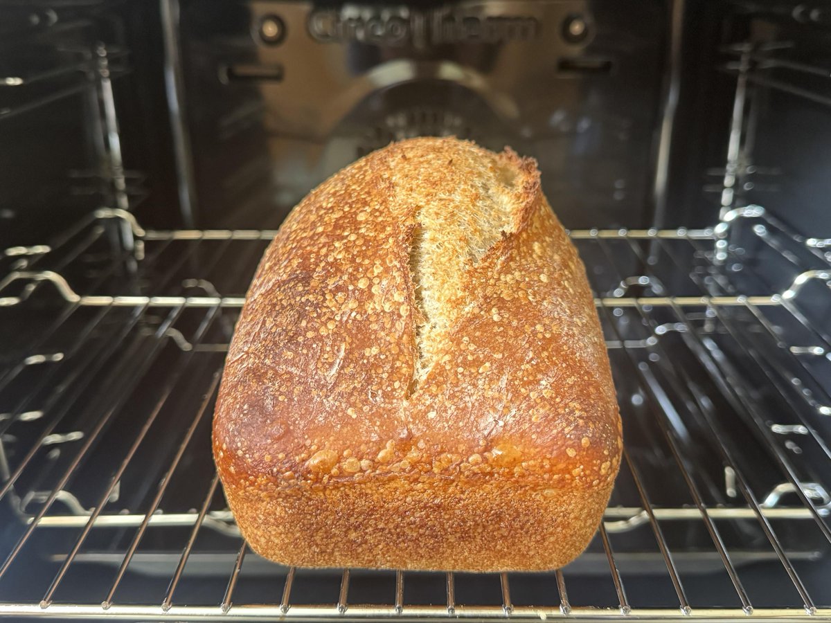 xenodium's tweet image. #Baking again after replacing dead oven #sourdough #bread #sourdoughbread #food #cooking