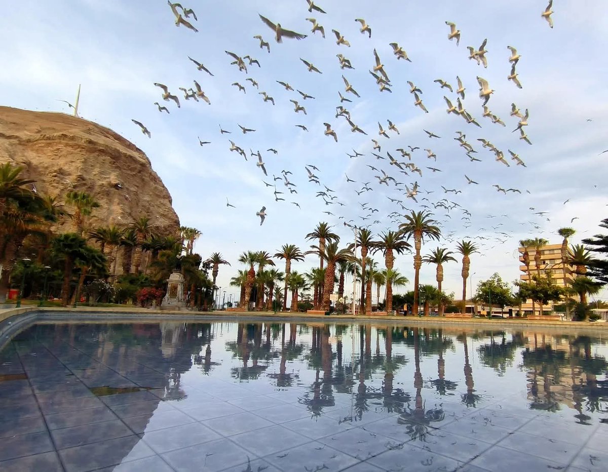 ¡Buenos días! 🌥️
Ya estamos a día martes y los días están para disfrutar de las vacaciones de invierno. 😎👍
#Arica #Chile #aricayparinacota #aricaesbacán #parati