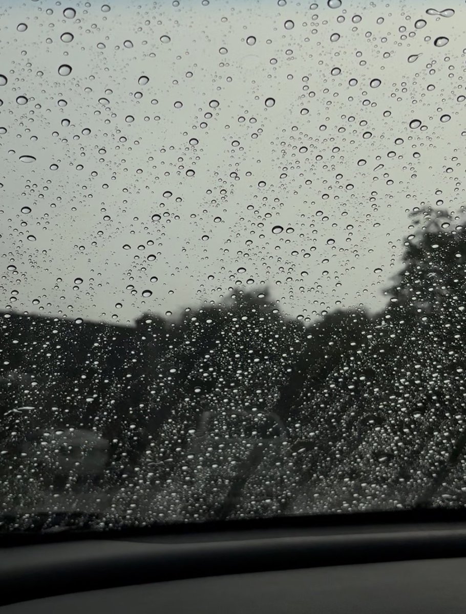 icedlattecore's tweet image. Monsoon core
