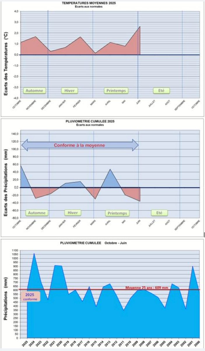 #Météo #Bordeaux
Nous sommes à 1 mois 1/2 des #vendanges À ce jour le #millesime2025 se présente comme une année chaude (par rapport à la moyenne 25 ans) avec une pluviométrie conforme. La vigne a souffert de la cannicule mais pas de stress hydrique ; pas de #Mildiou : 
🟢👍🌞
