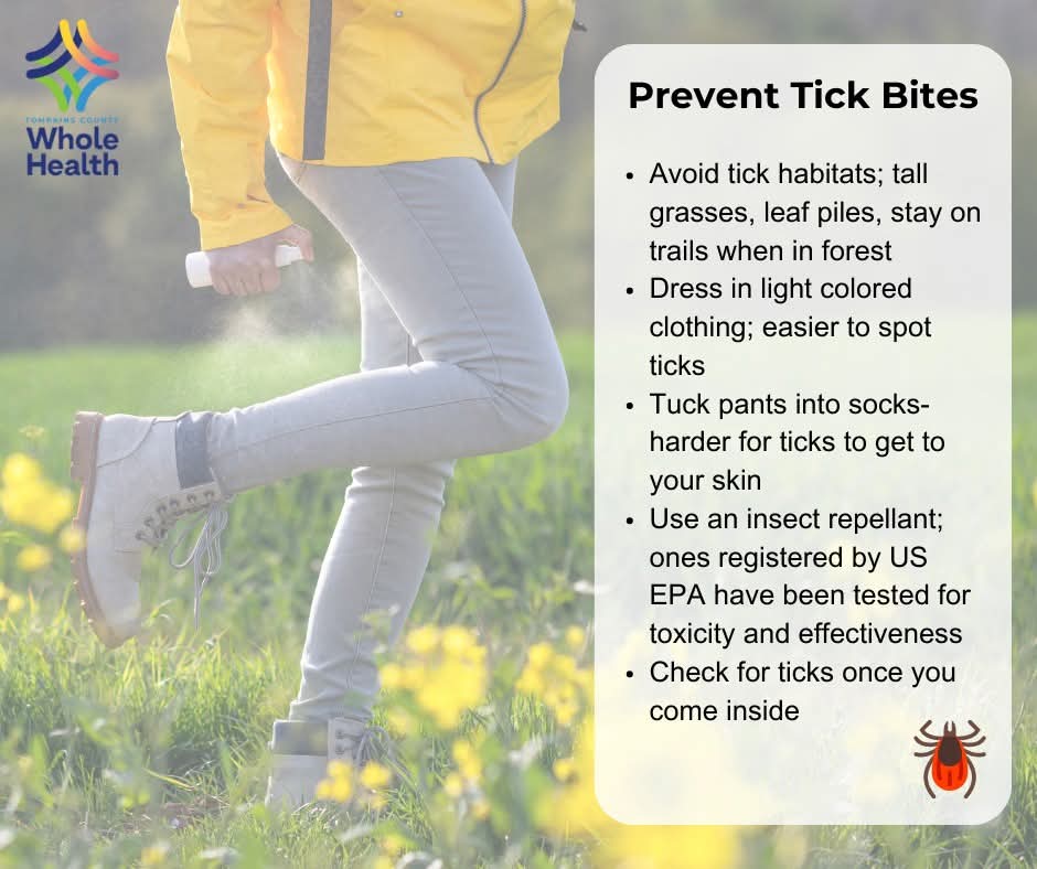 TCWholeHealth's tweet image. THE ABC's OF TICK BITE PREVENTION
A: Avoid ticks: Ticks live in tall grass, bushy thick wooded areas, in leaf piles and along stone walls.
B: Bug spray: use insect repellent that contains 20%-30% DEET
C: Check yourself, children and pets
D: Dress to repel
tompkinscountyny.gov/All-Department…