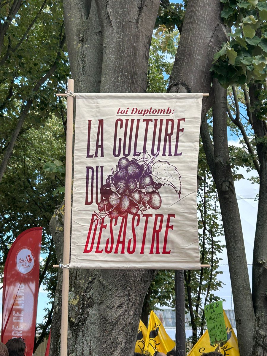 PoleEcolo_IDF's tweet image. Nous étions devant l’Assemblée Nationale pour appeler au rejet de la loi Duplomb par les député·es.
Cette loi préfère les intérêts financiers de l’agro-industrie et de la FNSEA, à la santé des agriculteur·rices et de l’environnement.
#LoiDuplomb #loipoison