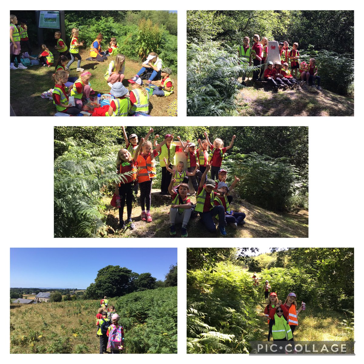 Well done year 2s! A beautiful Summer’s walk to Beacon Hill this morning. We had a lovely picnic at the viewpoint; used magnifying glasses to look at nature and wildlife; visited the trig point and had a run around in the forest.Thanks to all helpers/PTFA for lollies and drinks