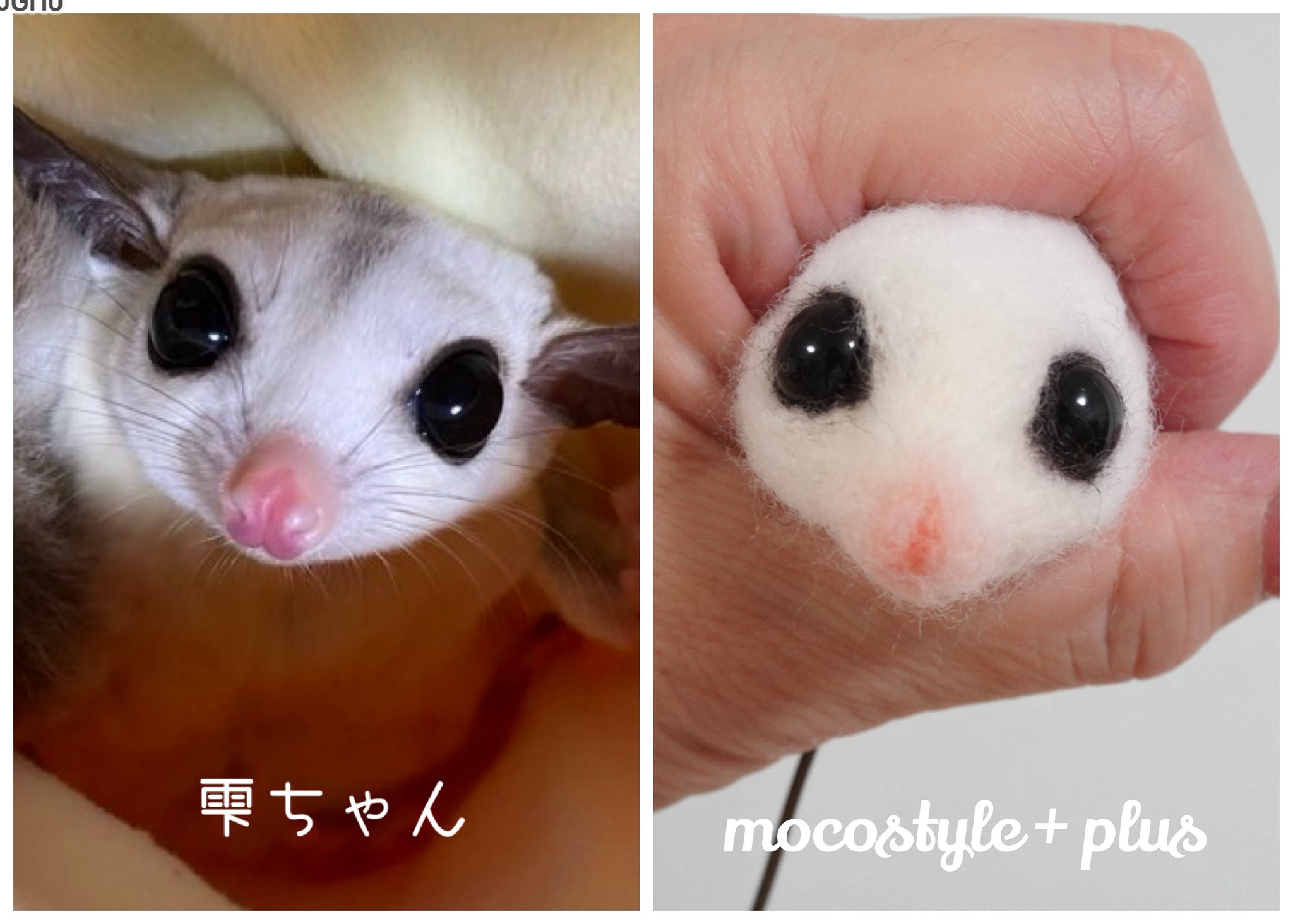 カトユリ mocostyle + plus （羊毛ﾌｪﾙﾄ） on X: 