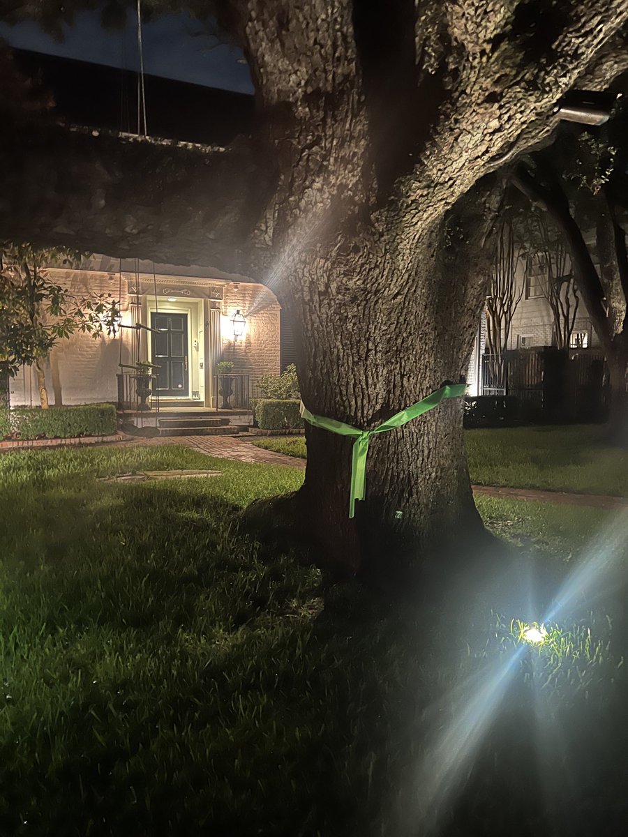Almost every house on our street in Houston has a green ribbon tied around the trees, to remember the precious girls lost at Mystic. 

❤️❤️❤️