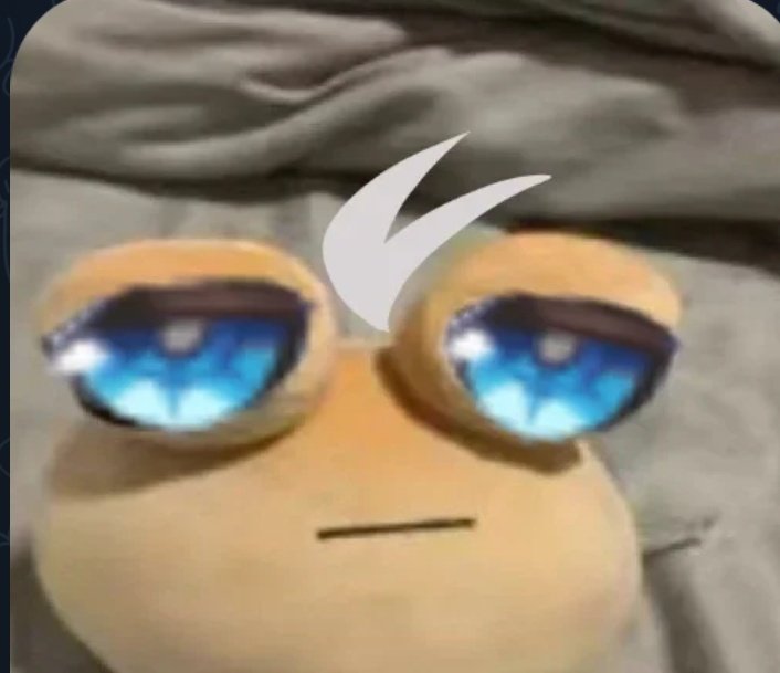 Daily Phainon + pilot service tweet media