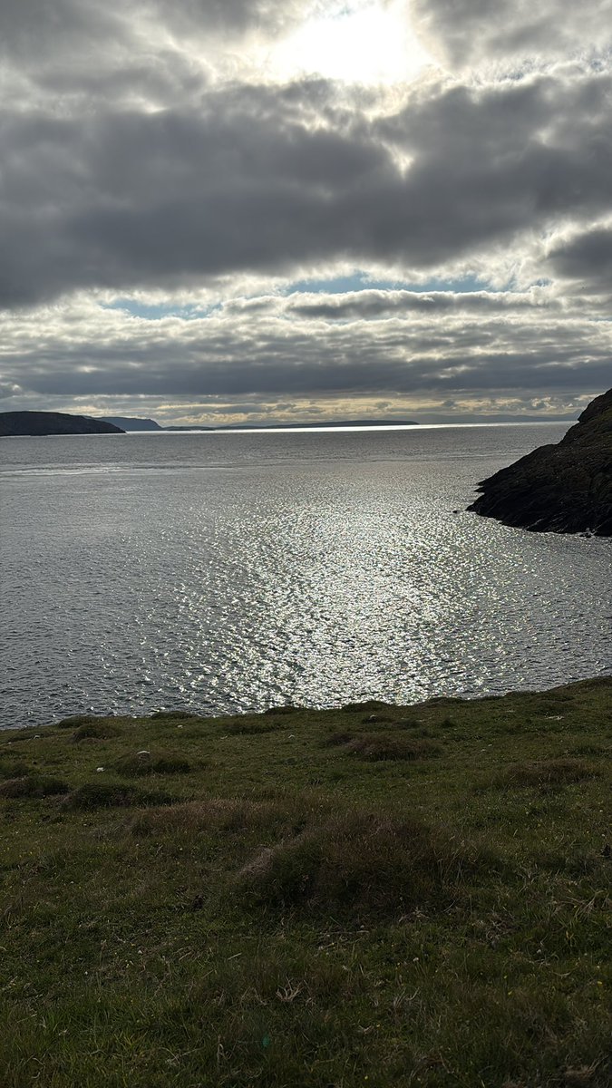 beccaleigh99's tweet photo. I’m leaving the island today, reluctantly. We had a lovely last supper with our new friends and I’m just saying my goodbyes to the sheep and the seals and the endless sea #Enlli https://t.co/zXQp3Ywsey