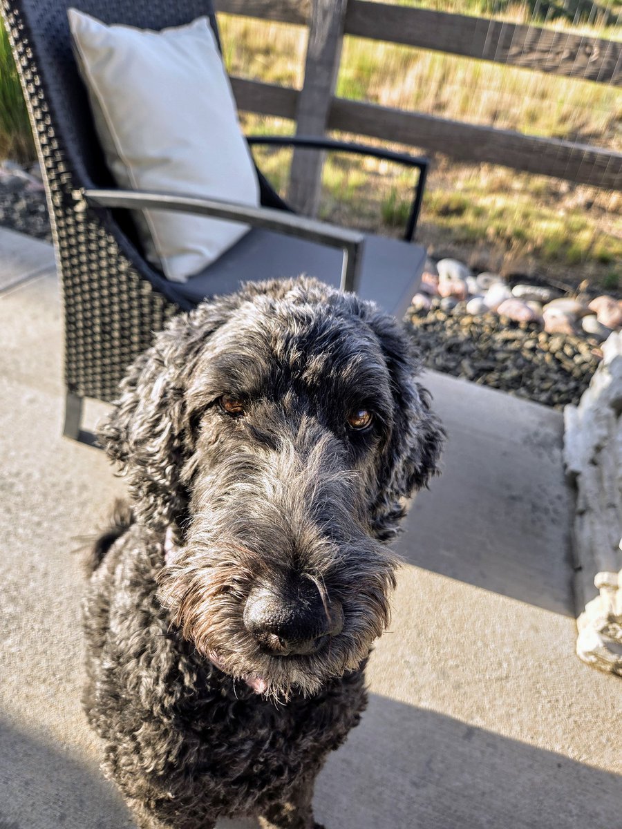 My early morning buddy.