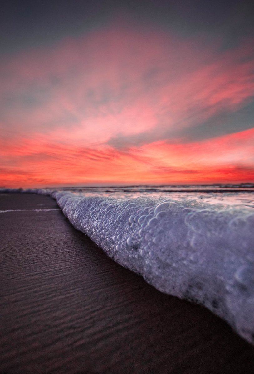 Lucas Morates tweet media