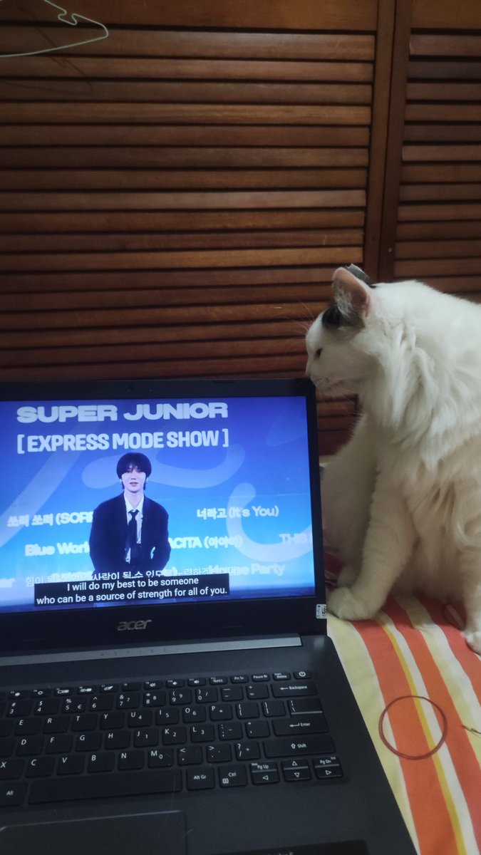 ppersphne's tweet photo. Charlotte nonton bapak bapak puber ✨✨
#슈퍼주니어 #SUPERJUNIOR
#ExpressMode #SUPERJUNIOR_ExpressMode 
#SuperJunior25
@SJofficial https://t.co/AozmYIbMsV
