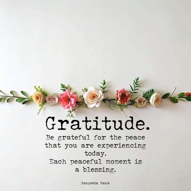 POSITIVITY (@positivitysaid) on Twitter photo 