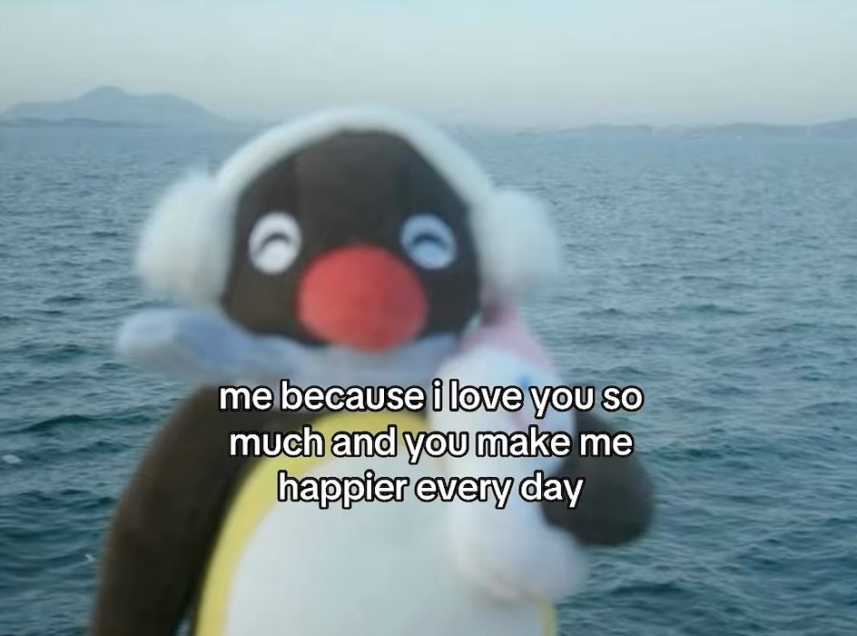 Out Of Context Animals (@animalscontexts) on Twitter photo 