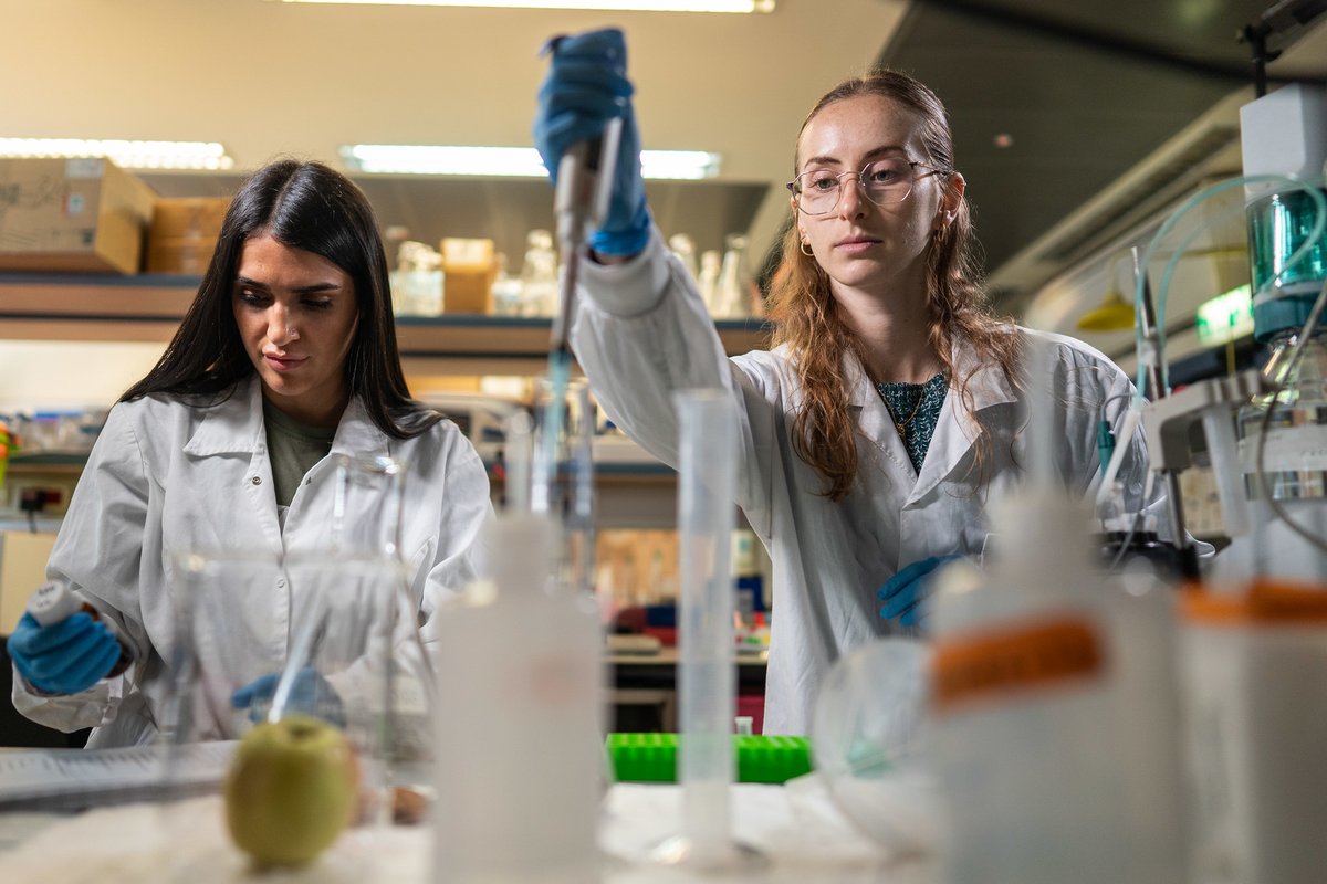 TechnionLive's tweet image. מחקר שנערך ב- @biofoodeng והתפרסם בכתב העת Food Research International מגלה הבדל משמעותי בין מערכות העיכול של נשים וגברים: עיכול חלב ועיכול תחליף חלב אינו זהה בשני המינים. את המחקר הוביל פרופ' אורי לזמס
m.maariv.co.il/news/viral/art…