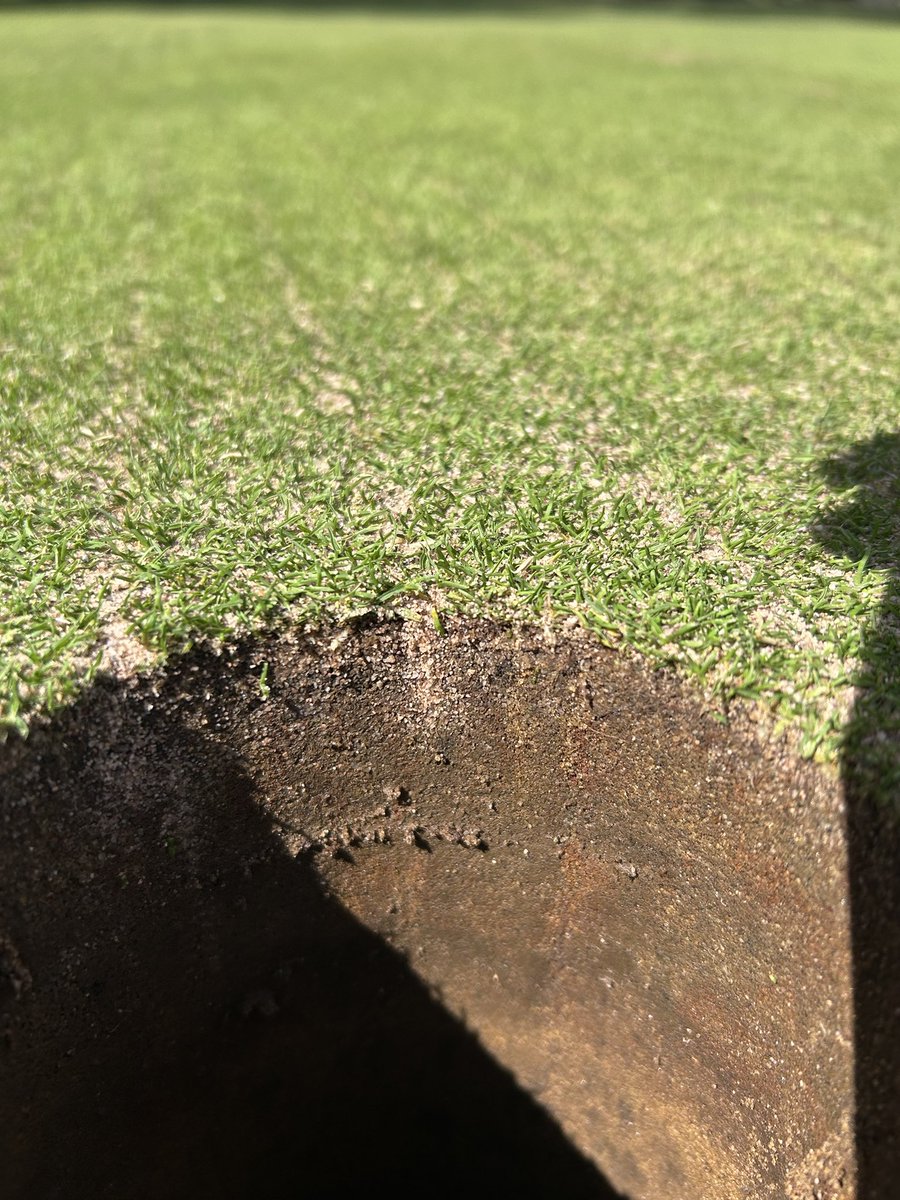 Antony Kirwan tweet media