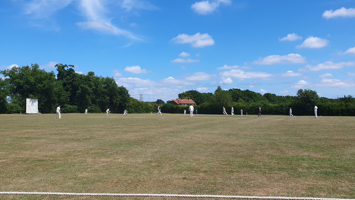 The Bushmen tweet media