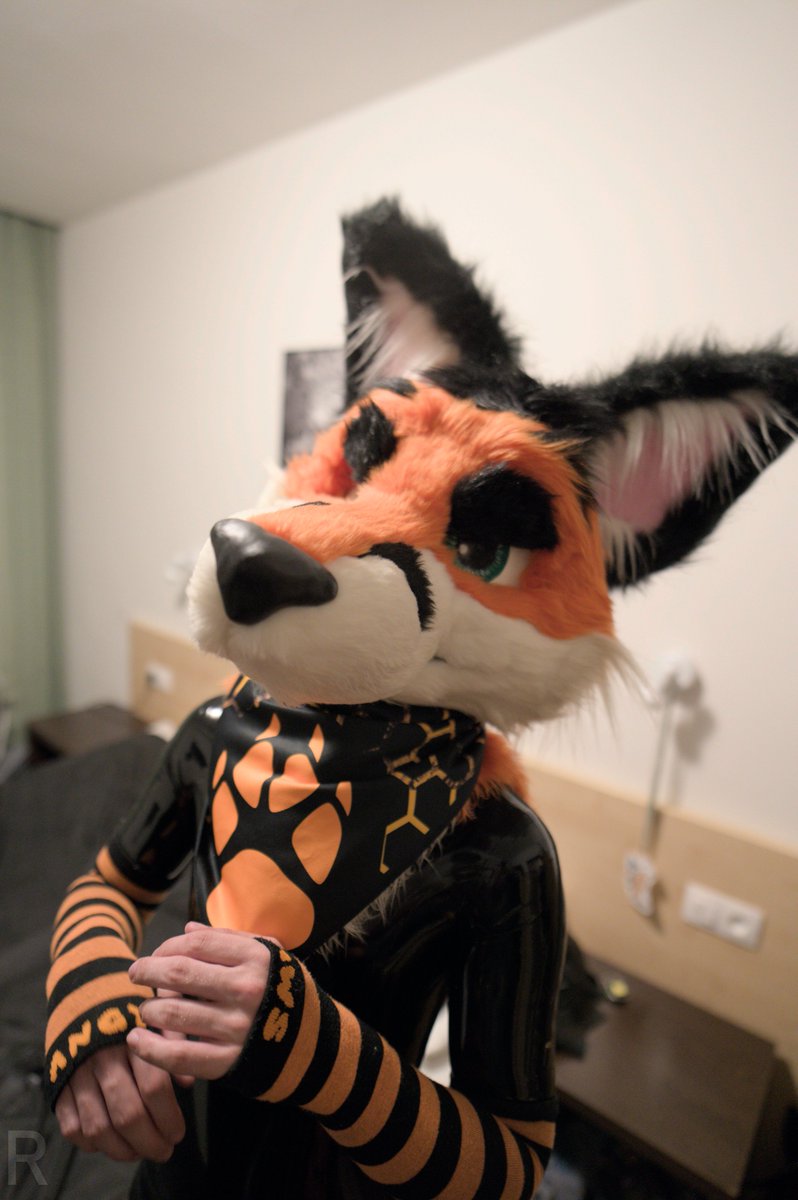 Lachim_Fox tweet media