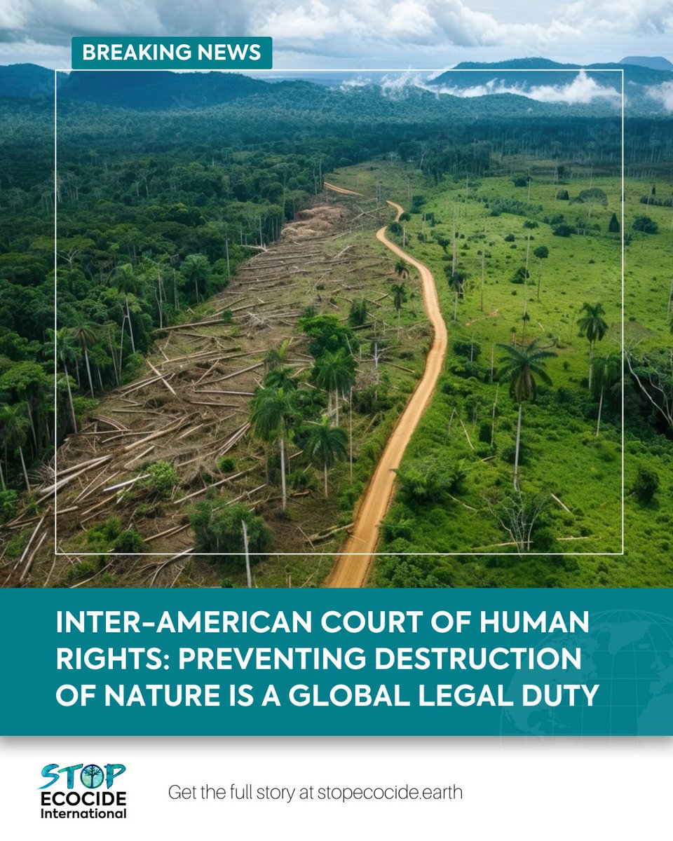 Stop Ecocide International (@ecocidelaw) on Twitter photo Historic news!
Preventing environmental destruction is a CORE international legal obligation, says Inter-American Court of Human Rights (<a href="/CorteIDH/">Corte Interamericana de Derechos Humanos</a>).
Full story HERE🔗 stopecocide.earth/bn-2025/inter-…
#StopEcocide Historic news!
Preventing environmental destruction is a CORE international legal obligation, says Inter-American Court of Human Rights (<a href="/CorteIDH/">Corte Interamericana de Derechos Humanos</a>).
Full story HERE🔗 stopecocide.earth/bn-2025/inter-…
#StopEcocide