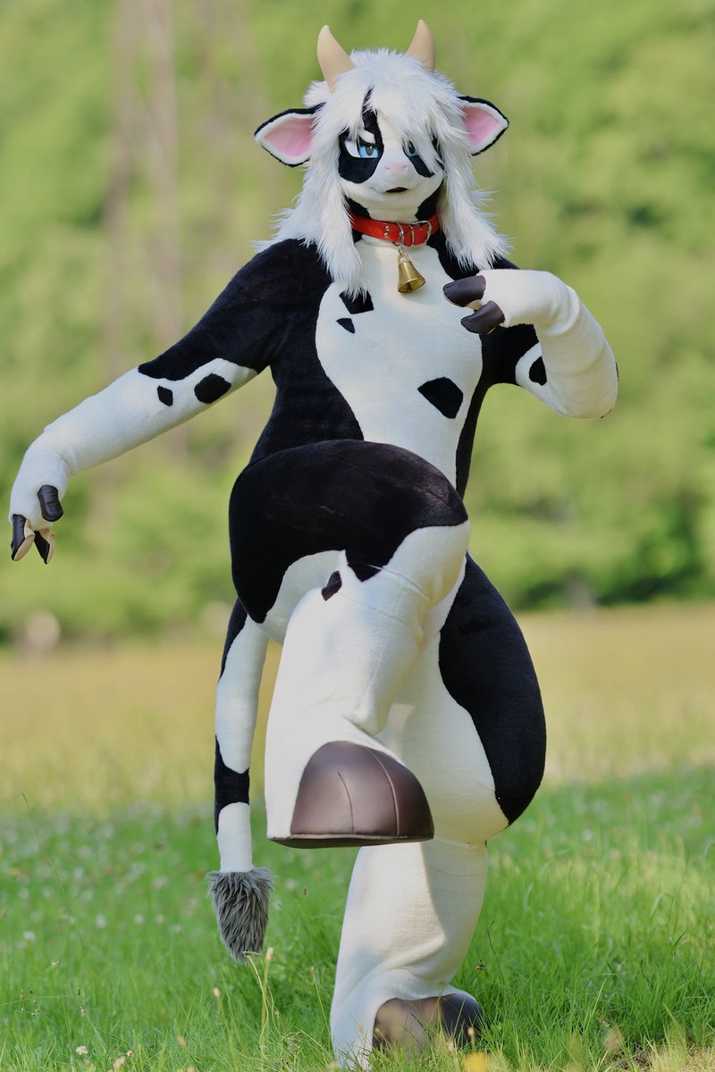 kick🐄🐄🐄