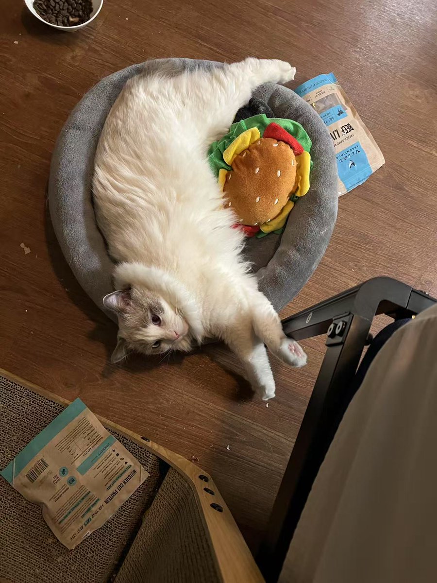 MishiroBuilds (@mishirobuilds) on Twitter photo 