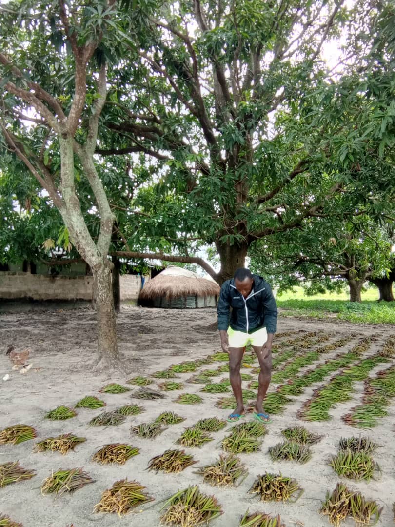 wacaprogram's tweet image. 224 ha de mangroves restaurés en 2024 en #GuinéeBissau grâce au projet #WACA !
Un pas important pour la protection du littoral!
Nouvelle campagne prévue pour la #JournéeDesMangroves (26 juillet).
wacaprogram.org/fr/article/plu…
#WACA_program #WACAResIP #EcosystèmesCôtiers #Climat