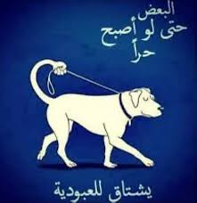 Mohammed (@1house111) on Twitter photo 