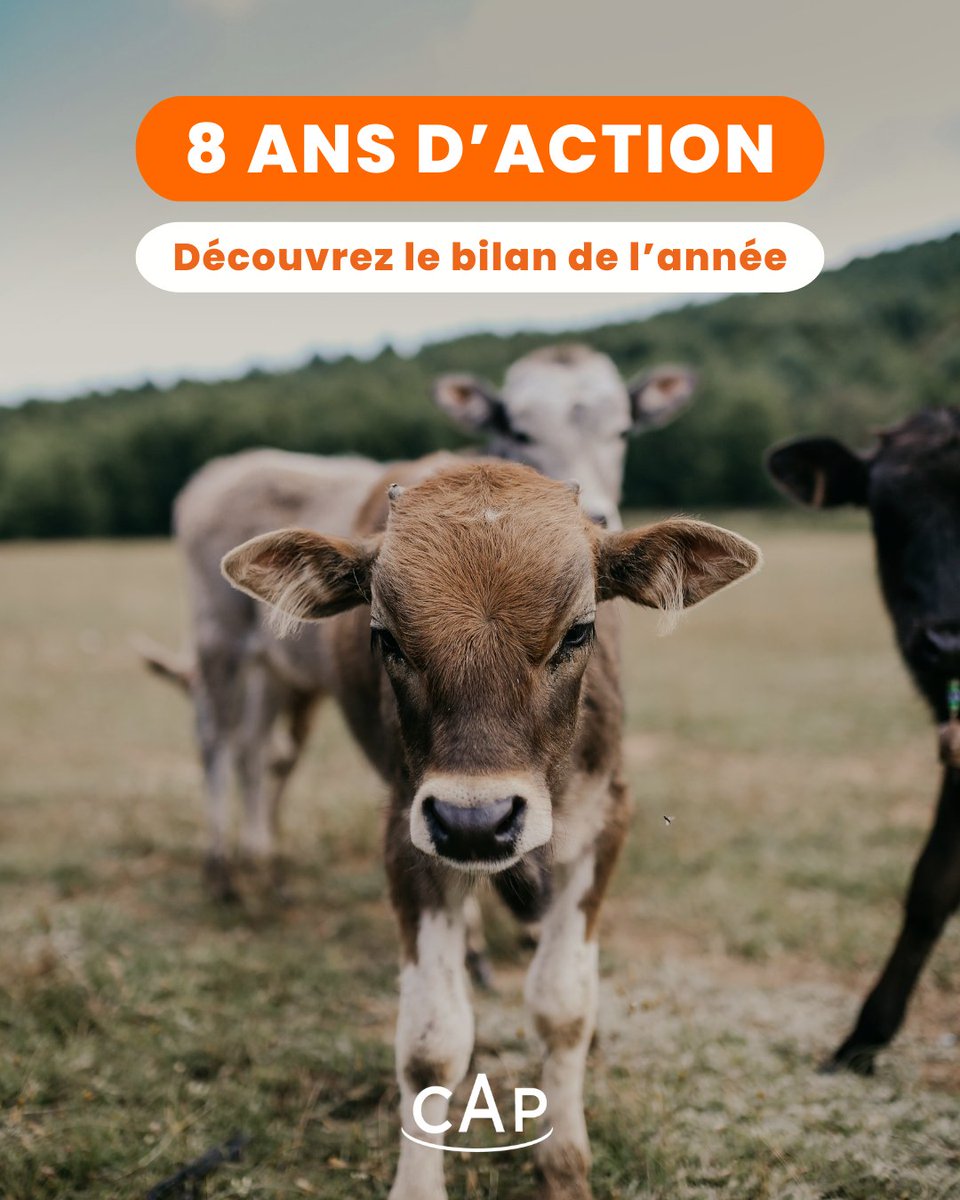 CAP fête ses 8 ans : on fait le bilan de l’année 💥

🟠 16 propositions de loi accompagnées
🟠 21 questions au gouvernement
🟠 57 rendez-vous politiques
🟠 88 amendements

Découvrez nos 10 actions clés de l’année 👉 convergence-animaux-politique.fr/blog/2025/07/0…