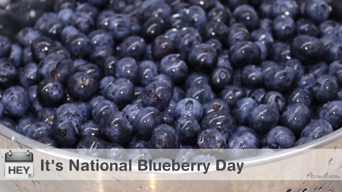 It's National Blueberry Day! 
#NationalBlueberryDay #Blueberry #BlueberryDay
