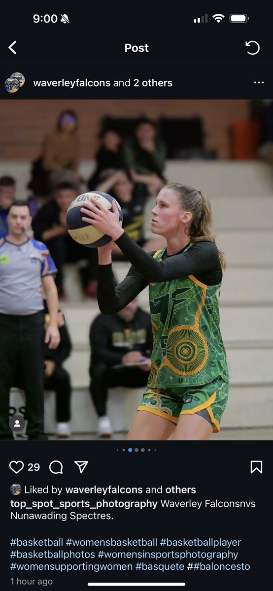 Todd Starkey (@toddstarkey33) on Twitter photo I spy some Golden Flashes!!! πππΌππΌ <a href="/WaverleyFalcons/">Waverley Basketball</a> <a href="/KentStWBB/">Kent State Womenβs Basketball</a> <a href="/KentStAthletics/">Kent State Athletics</a> I spy some Golden Flashes!!! πππΌππΌ <a href="/WaverleyFalcons/">Waverley Basketball</a> <a href="/KentStWBB/">Kent State Womenβs Basketball</a> <a href="/KentStAthletics/">Kent State Athletics</a>