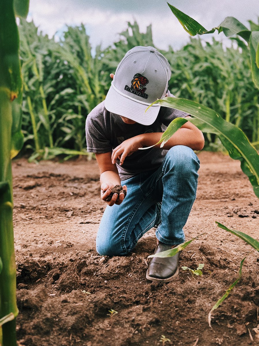 Flatwater Ag 🇺🇸 🌽 tweet media