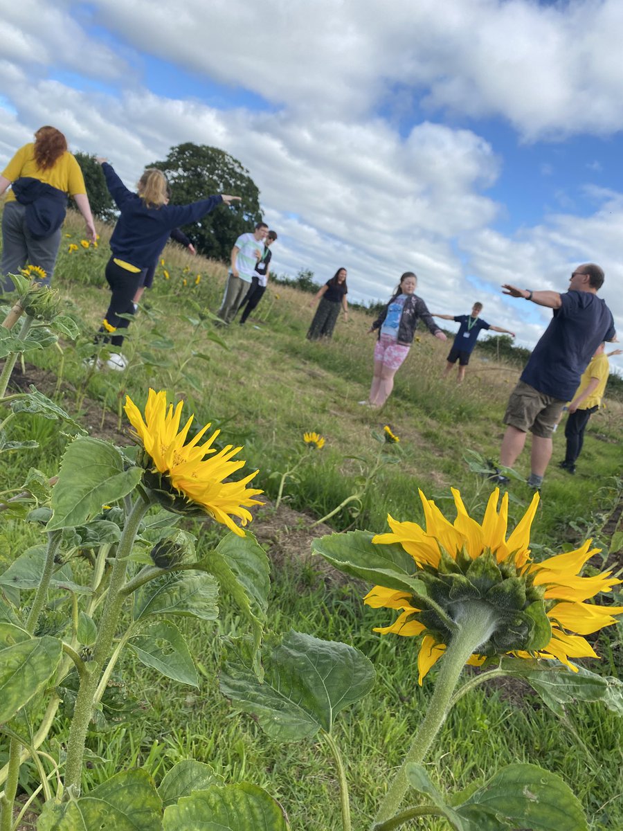 YPendalar's tweet image. Sesiwn Ymwybyddiaeth Ofalgar yn yr ardd heddiw yn defnyddio ‘Labyrinth Blodau Haul’ fel ardal i feddwl, a dipyn o waith twtio yn yr ardd!! #lles #garddio