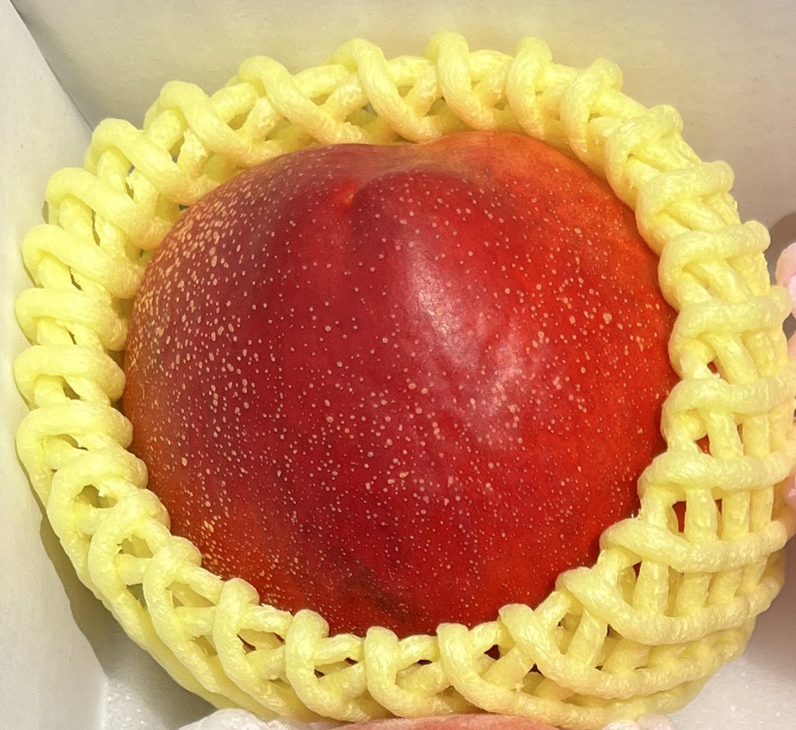 うん…ほぼ一致🍄🍑