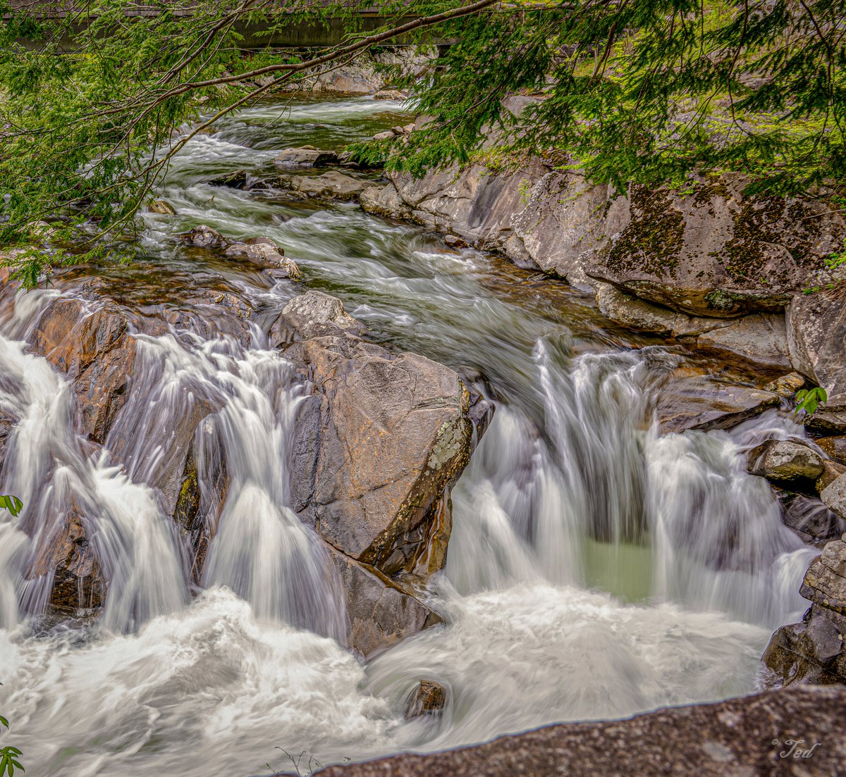 Rockin' Tuesday! 🤟
Wishing you a joyful start to your day.