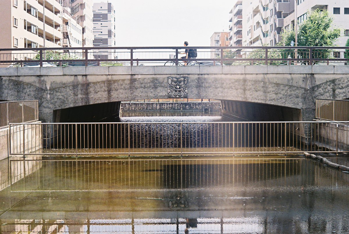 trapezoid_6's tweet photo. #Leica #IIIC https://t.co/zfOGHh98Ka