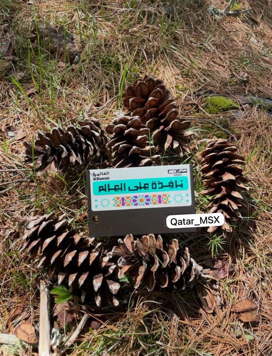 Qatar_MSX tweet media