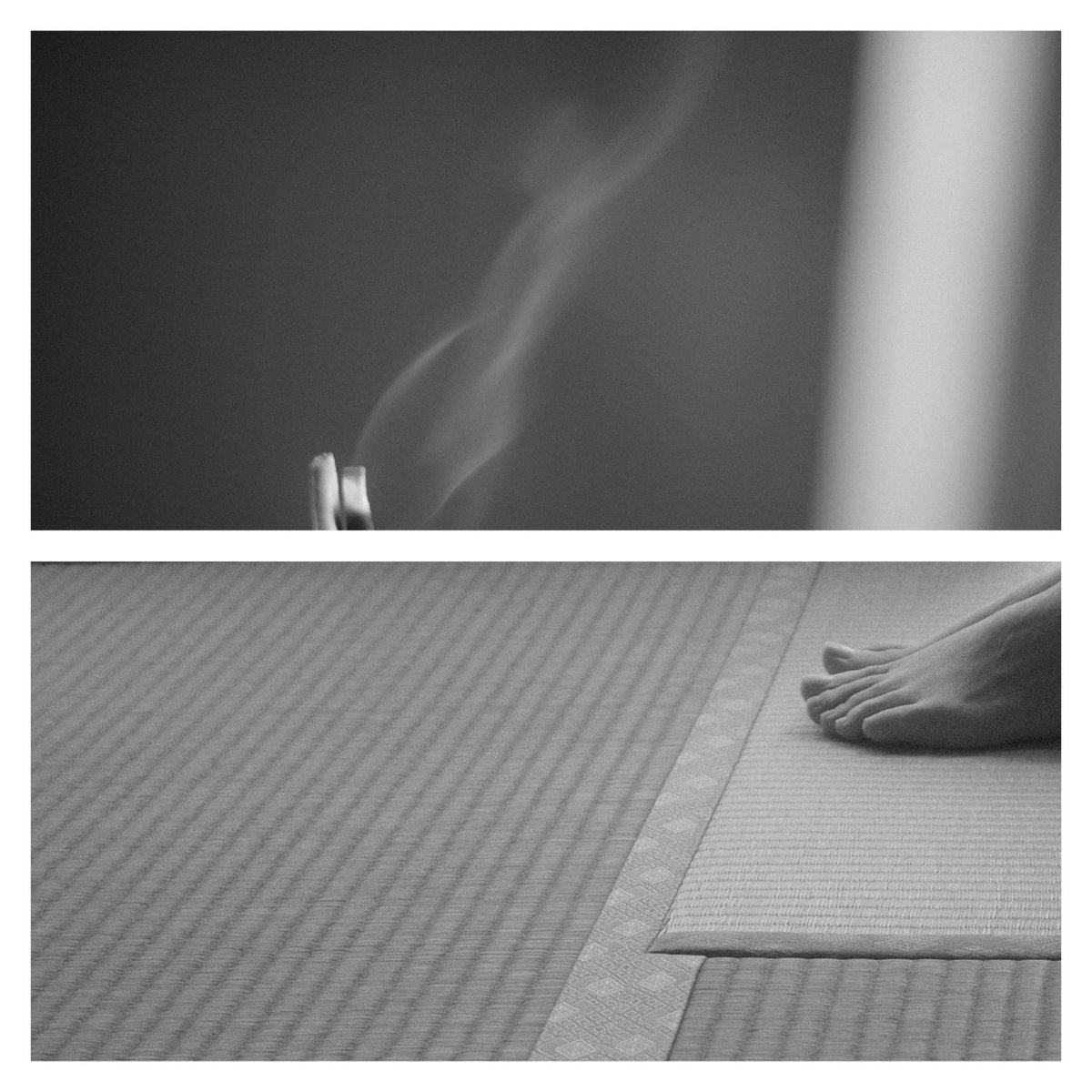x_ct8n's tweet image. 夏は畳の部屋に避難
お線香をあげる回数が増えます