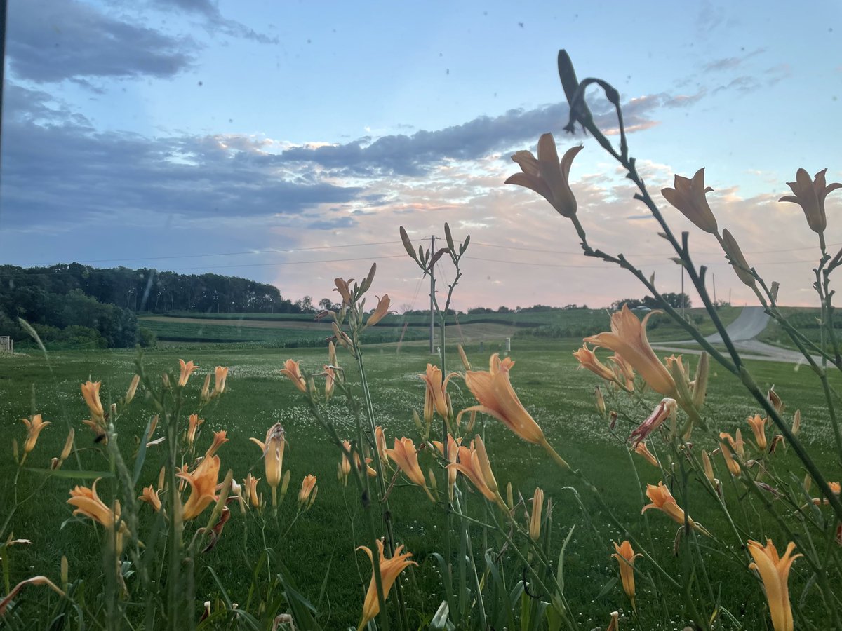 BrianJReisinger's tweet image. What morning looks like out the window of the farmhouse where I grew up