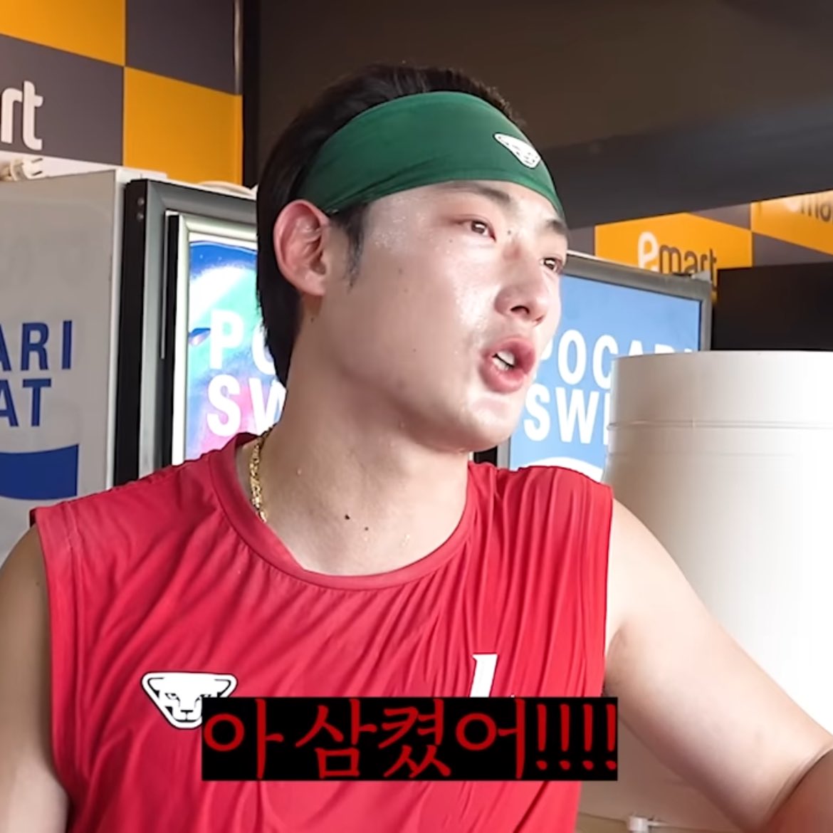 최지훈 잠실에서 팅커벨인지 러브버그인지 삼켰대...