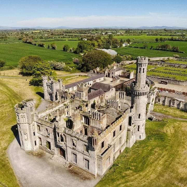 Warriors Of Ireland tweet media