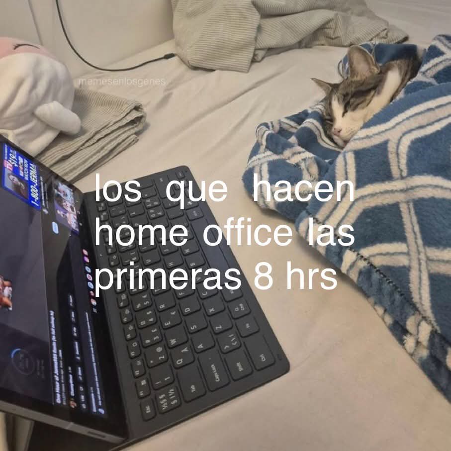 Rolita (@_onerolita) on Twitter photo 